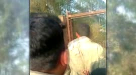 Longer version :Jumbo Elephant killed while crossing railway line in India.