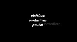 Neighbour's Bonfire Gets up my Nose