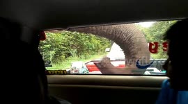 Terrified family watch as elephant raids the back of their car for food