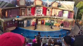 Sea lions dance to Gangham Style