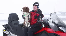 Scottish ski resort now has the UK's first avalanche rescue dog