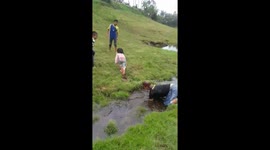 Hilarious scene as dad faceplants into a stream while throwing his children over