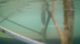 Grabando bajo el agua