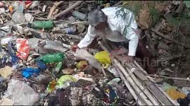 Elderly man slogs to save calf from garbage covered pond