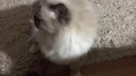 When i see my bank balance