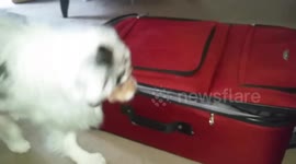 Only pack the essentials!!!