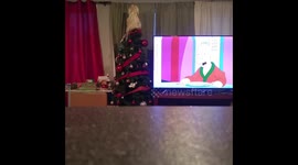 Cat coming to say hi