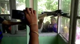 Python slithered inside a busy government office, rescued and released in the wild in India