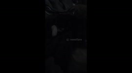 We found a stray kitten and it fell asleep on the couch