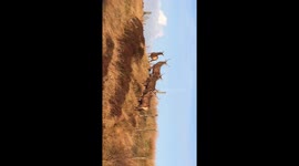 Deers, Rudolf, Rangers