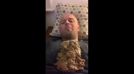 Hilarious video shows aftermath of dog's huge sick on owner's chest