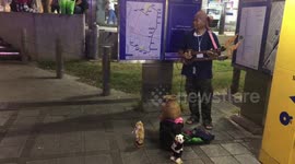 Busker with dancing teddy bears