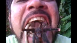 And COBRA tarantula in Mouth | NINJA OF SNAKES.HOMEM ENGOLE COBRA E ARANHA.
