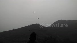 Indian stuntman summons hundreds of crows with his voice