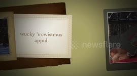 Wucky's Cwistmus Appul