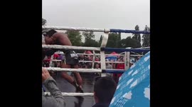 Buakaw Thai Boxing Champion