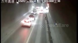 重庆 公猪“受刺激”跳车 高速路上演捉猪大战