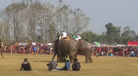 Crowd enjoying Elephant Polo in Sauraha, Nepal