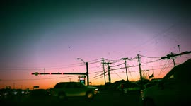 Beautiful birds flying together against wind. Filmed in 4K