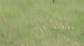 Mavic Pro Noob Fails