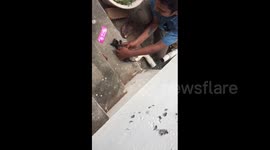 Touching moment owner rescues his tiny kitten from a drainage pipe