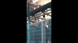 Unhealthy work conditions