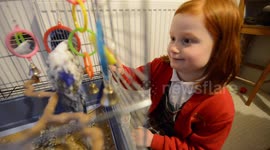 A real-life Dr Doolittle family who keep 46 pets