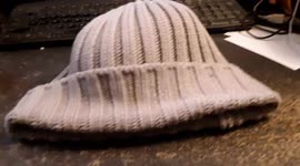 four week old rabbit