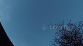 Thousands of starlings form the shape of a giant bird