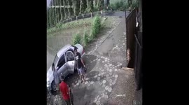 Tourists who shot egrets caught on CCTV goes viral