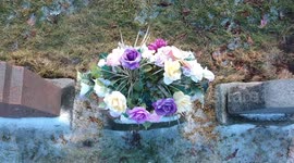 Beautiful Drone Shot from Cemetery