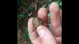 Metal detecting in Italy big silver ring
