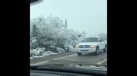 #Snow in #Tucson https://t.co/0Nnoes5Xyo