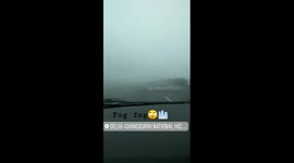 Fog in north India