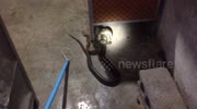 temp