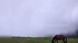 Chopta Valley - Uttarakhand, India