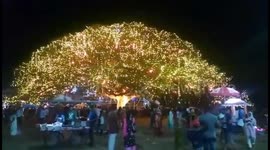 Asia's biggest chirsthmas tree in kerela