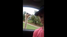 Ostrich reaches into car to bite US man in the neck