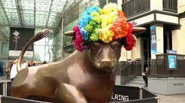 Birmingham Bull At Bullring Dressed Up For Any Occasion 2018