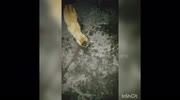 temp