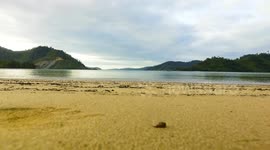 In the Bay Area Mandeh