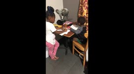 Kids doing what the supposed too