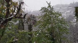 Snowfall in Dharamsala