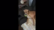 temp