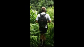 Unbelievable green deep forest hike