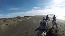 Cavalli al galoppo sulla spiaggia