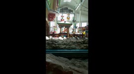 Enjoying at Pixie Forest