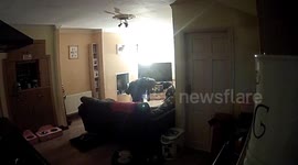 Shocking footage of a dog company owner abuses a clients dog when she refuses to sit still