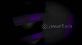 The Silly Salmon Full video epic fail with slow motion fall