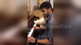 Musical pup learns how to play the piano